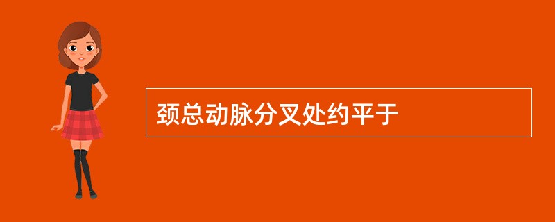 颈总动脉分叉处约平于