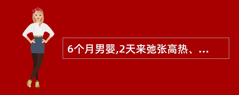 6个月男婴,2天来弛张高热、咳嗽,精萎纳差,时有呕吐,周围血WBC 26×109