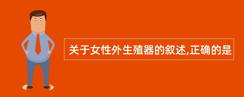 关于女性外生殖器的叙述,正确的是