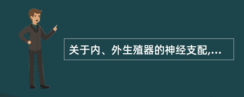 关于内、外生殖器的神经支配,叙述正确的是