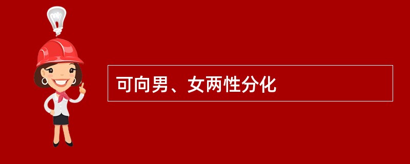 可向男、女两性分化