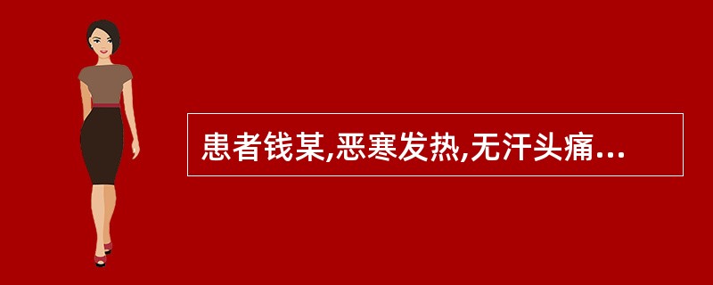 患者钱某,恶寒发热,无汗头痛,肢体疼痛,喘咳,舌苔薄白,脉浮紧。治宜选用( )。