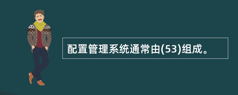 配置管理系统通常由(53)组成。