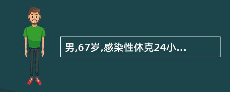 男,67岁,感染性休克24小时,测动脉血气分析示:pH7.30,PaC02 5.