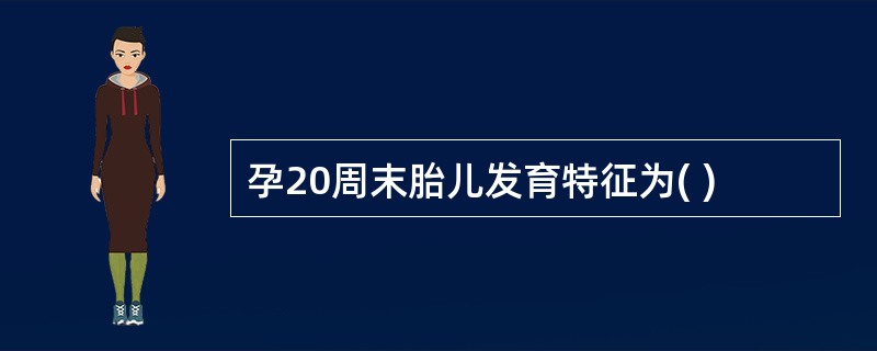 孕20周末胎儿发育特征为( )