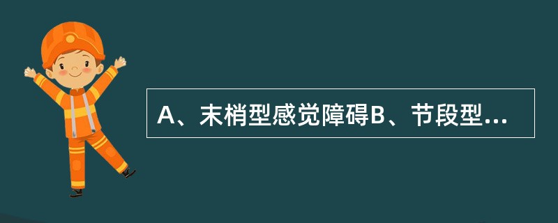 A、末梢型感觉障碍B、节段型感觉障碍C、传导束型感觉障碍D、交叉型感觉障碍E、皮