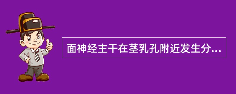 面神经主干在茎乳孔附近发生分支,分布于