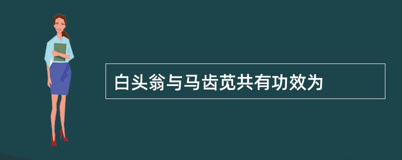 白头翁与马齿苋共有功效为