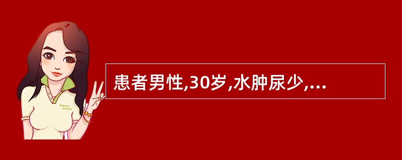患者男性,30岁,水肿尿少,尿蛋白(£«),红细胞5~10个£¯HP,白细胞2~