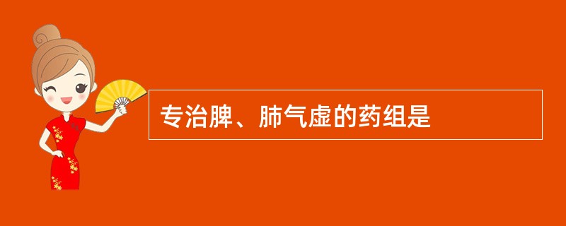 专治脾、肺气虚的药组是