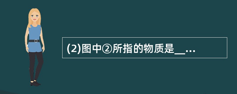 (2)图中②所指的物质是________,③所指的物质是___________。