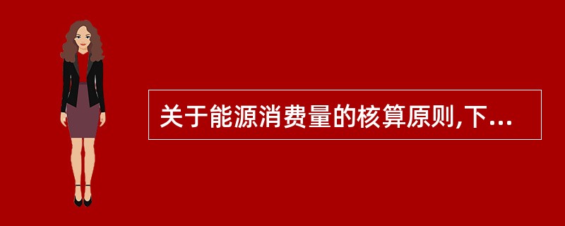 关于能源消费量的核算原则,下列各项中不正确的是()。