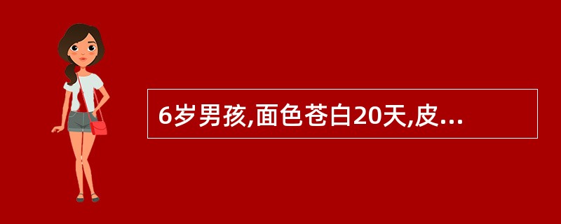 6岁男孩,面色苍白20天,皮肤出血点、牙龈出血2周。查体:贫血貌,全身皮肤散在出