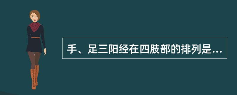 手、足三阳经在四肢部的排列是( )。