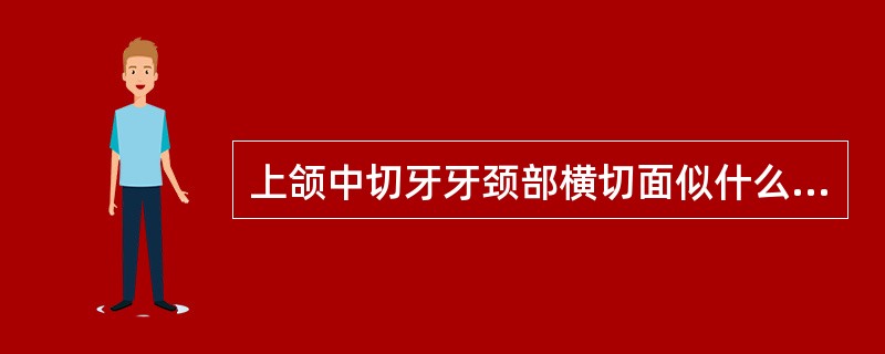 上颌中切牙牙颈部横切面似什么形A、梯形B、卵圆形C、扁圆形D、四边形E、圆三角形