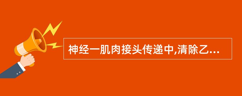 神经一肌肉接头传递中,清除乙酰胆碱的酶是 ( )