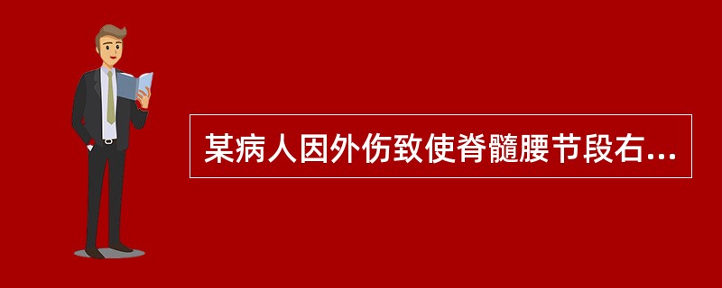 某病人因外伤致使脊髓腰节段右侧半横断,损伤平面以下会出现( )