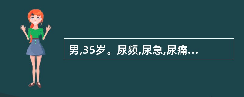 男,35岁。尿频,尿急,尿痛一年,有米汤尿史,尿常规:白细胞充满£¯HP;IVU