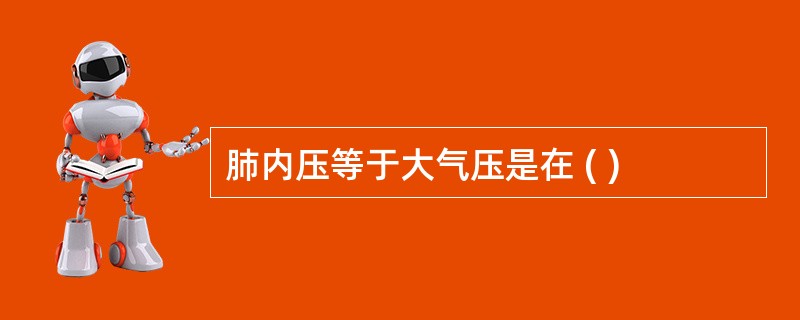 肺内压等于大气压是在 ( )