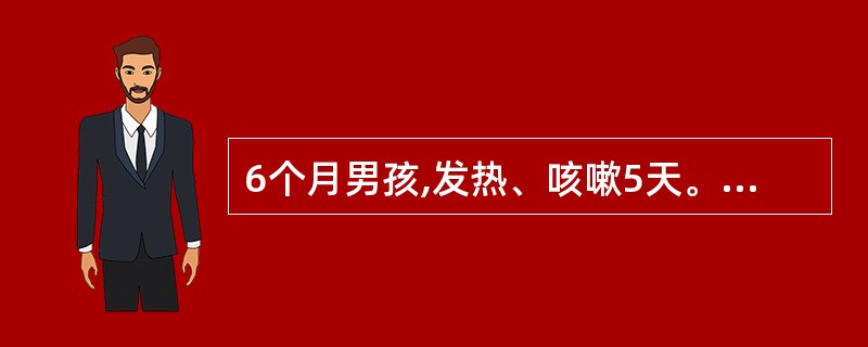 6个月男孩,发热、咳嗽5天。查体:面色苍白,口唇发绀,体温38.0℃,呼吸80次