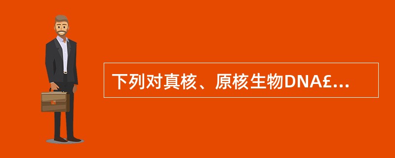 下列对真核、原核生物DNA£­pol的比较中正确的是
