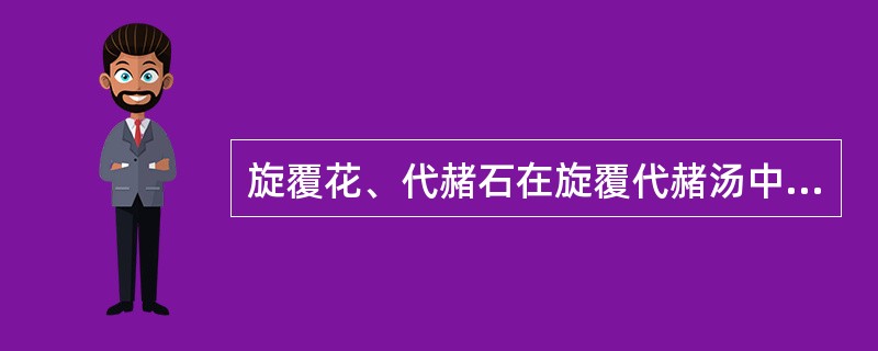 旋覆花、代赭石在旋覆代赭汤中的配伍意义是()