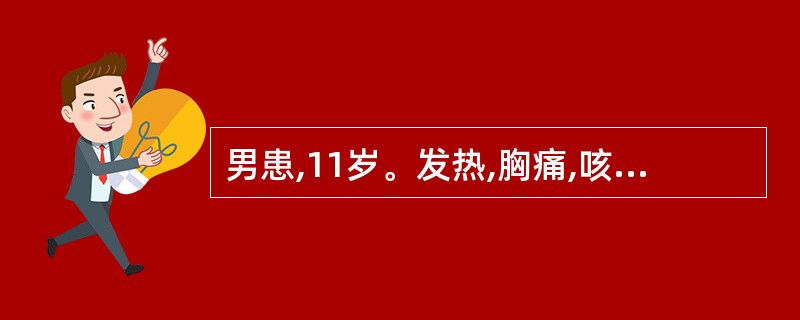 男患,11岁。发热,胸痛,咳嗽约2周,近5天有呼吸困难。体温39℃,脉搏120次