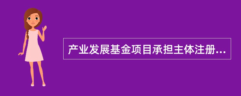 产业发展基金项目承担主体注册资本金原则上在()万元以上。产业发展基金项目承担主体