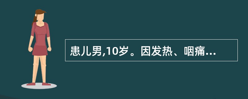 患儿男,10岁。因发热、咽痛1天就诊,体温39.8℃,颜面及四肢无水肿,扁桃体Ⅲ