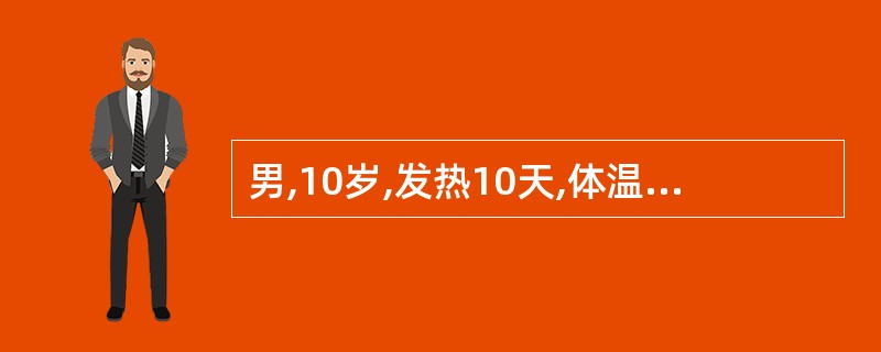 男,10岁,发热10天,体温38~39℃,刺激性咳嗽明显,胸痛。查体:双肺散在干