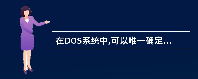 在DOS系统中,可以唯一确定一个文件的组成要素包括( )。