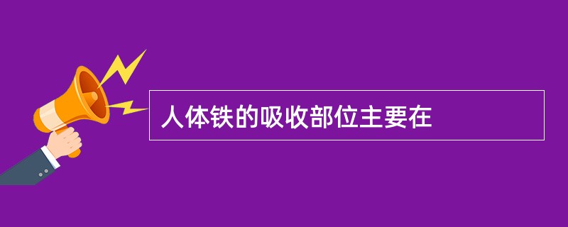 人体铁的吸收部位主要在