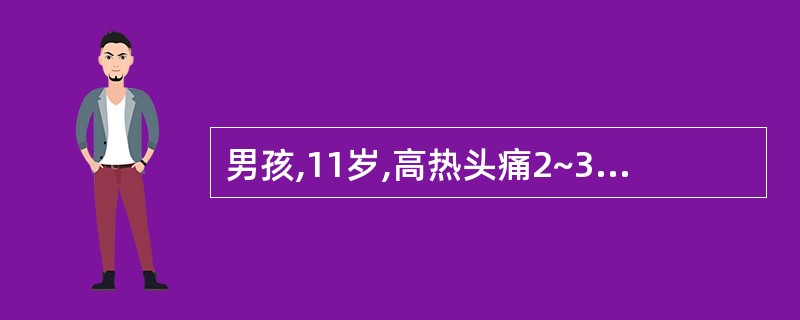 男孩,11岁,高热头痛2~3天,伴呕吐,于8月2日入院。入院后第2天体温更高,达