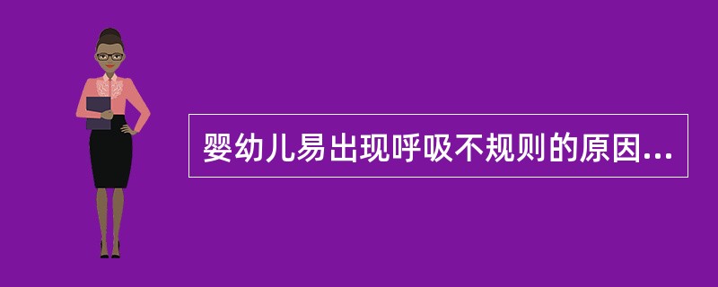 婴幼儿易出现呼吸不规则的原因是()