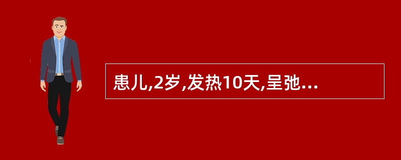 患儿,2岁,发热10天,呈弛张热,伴呕吐数次。查体:急性面容,心肺听诊无殊,肝肋