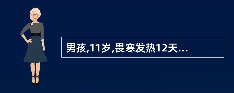 男孩,11岁,畏寒发热12天,伴头痛,纳差,轻度咳嗽,偶有恶心。近2天便秘。体检