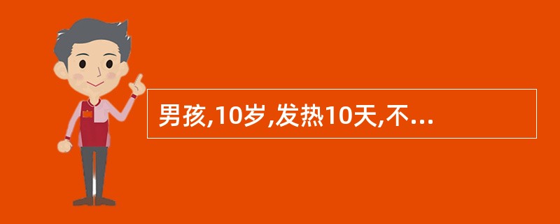 男孩,10岁,发热10天,不咳,纳差,便秘。体检:T 39.6℃,神萎,咽微红,