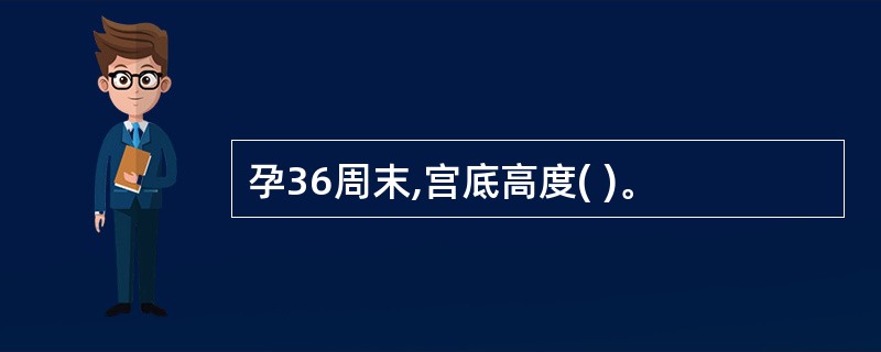 孕36周末,宫底高度( )。