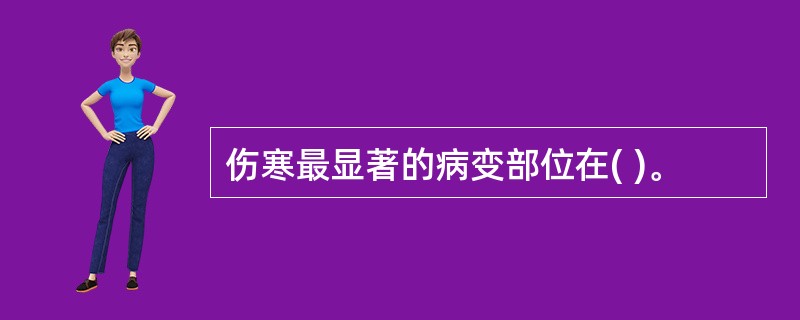 伤寒最显著的病变部位在( )。