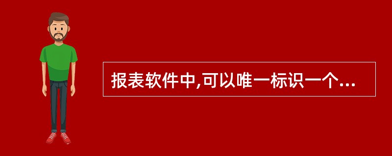 报表软件中,可以唯一标识一个表页的标志是( )