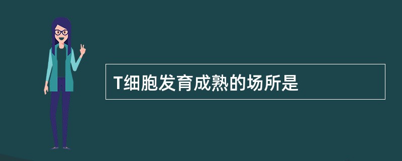 T细胞发育成熟的场所是