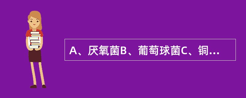 A、厌氧菌B、葡萄球菌C、铜绿假单胞菌(绿脓杆菌)D、腹泻E、寒冷 新生儿败血症