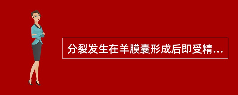 分裂发生在羊膜囊形成后即受精后9~13天的是