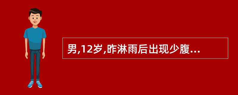 男,12岁,昨淋雨后出现少腹冷痛,阴部坠胀作痛,伴阴器收缩引痛,舌淡,苔白润,脉