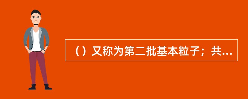 （）又称为第二批基本粒子；共振态粒子又被叫做第三代（）。