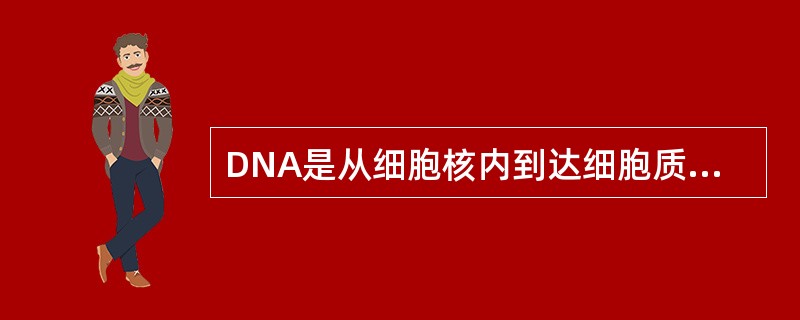 DNA是从细胞核内到达细胞质中控制了蛋白质的合成。