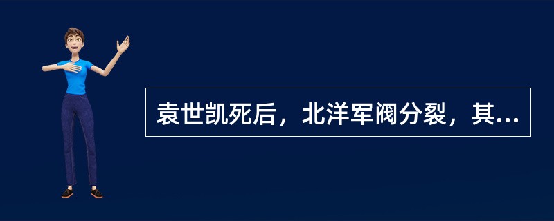 袁世凯死后，北洋军阀分裂，其中皖系的首领是（）