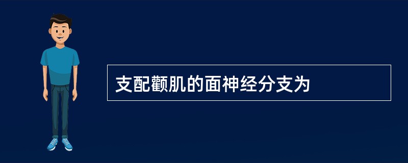 支配颧肌的面神经分支为