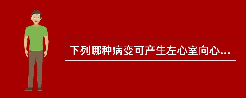 下列哪种病变可产生左心室向心性肥厚