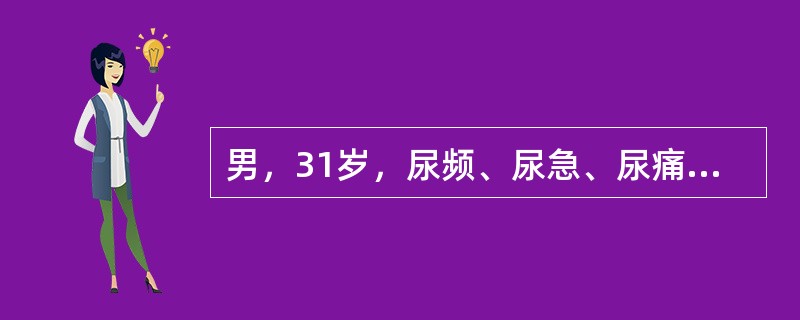 男，31岁，尿频、尿急、尿痛一年余，多种抗生素治疗无效，尿液检查：脓球满视野，蛋白(+)。为确诊，最适宜做哪种检查